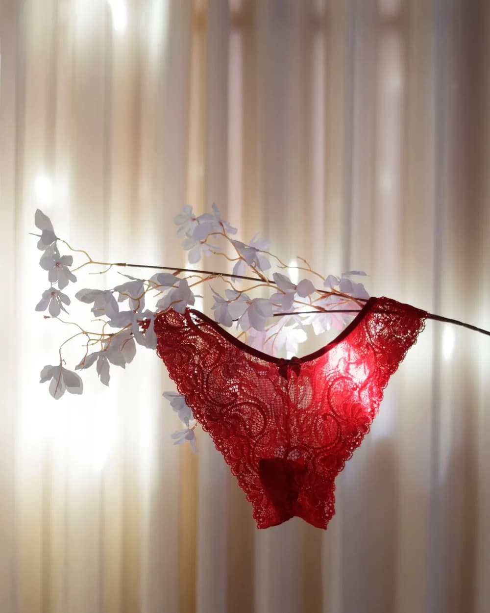 Culotte Encaje Rojo, calzón